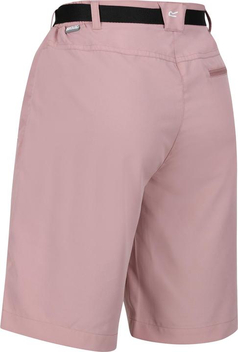 Actual product image Regatta Womens/Ladies Xert Stretch Shorts (34)