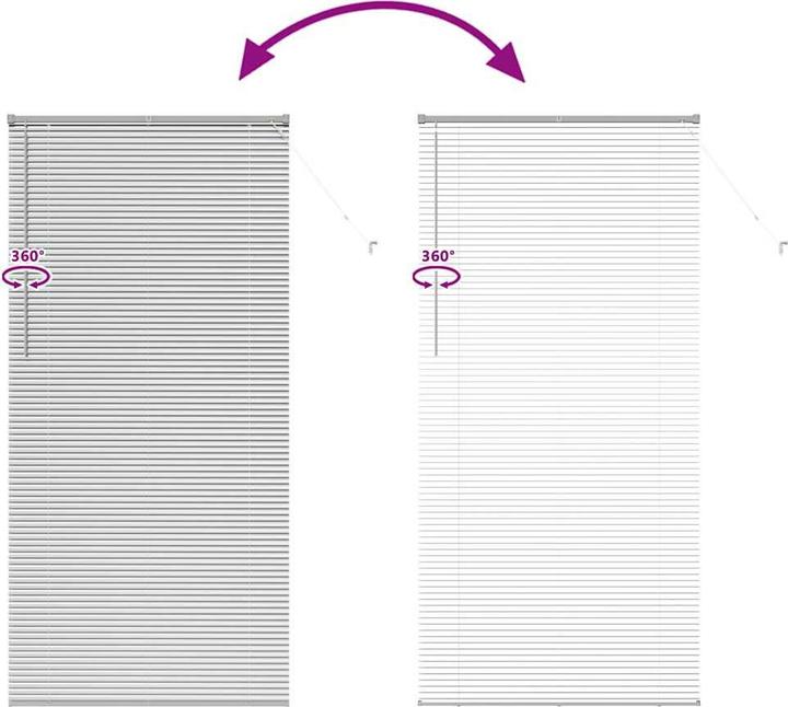 Immagine prodotto VidaXL Tende per finestre (100 x 220 cm)