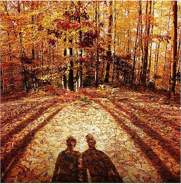 Produktbild Maison Martin Margiela Replica (Eau de Toilette, 100 ml)