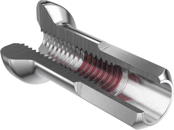 Actual product image DT Swiss Pro Lock 1.8 x 12