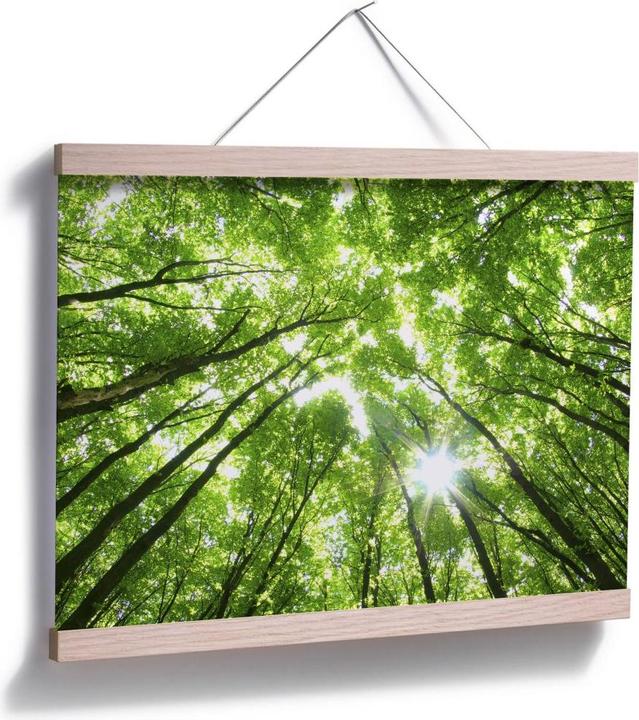 Produktbild Trenddeko Sunny Forest 2 (60 x 50 cm)