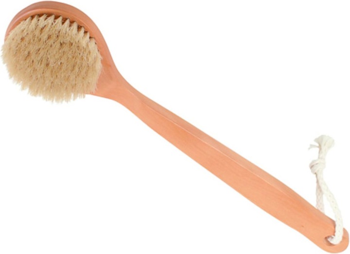 Sauna brush maple with boar bristles