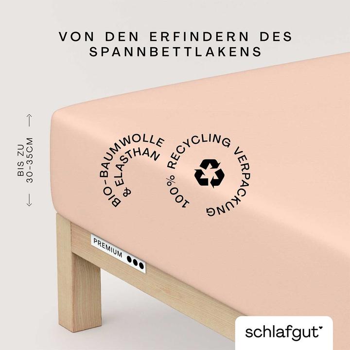 Produktbild schlafgut Premium (120 x 200 - 130 x 220 cm)