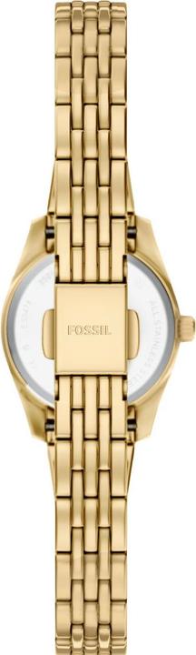 Image du produit Fossil Scarlette Mini (Horloge analogique, 20 mm)