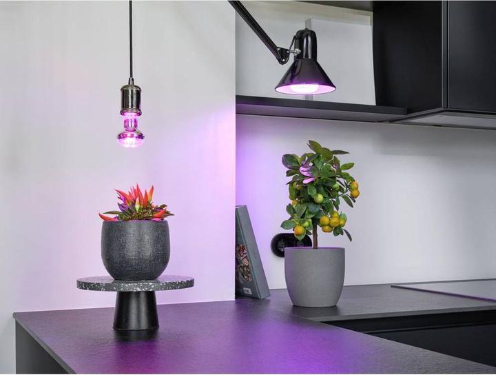 Produktbild Osram Homelighting (LED, 220 V)