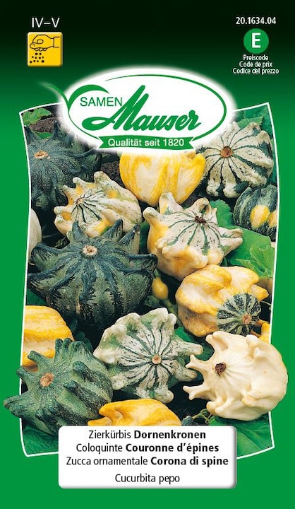Courge d'ornement Couronnes d'épines (Graines de légumes)