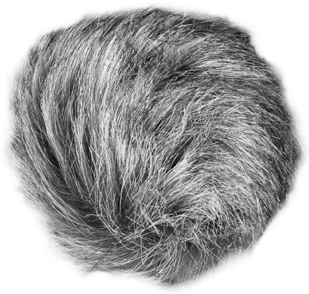 Actual product image Zoom Wsu-1 (Windbreak)