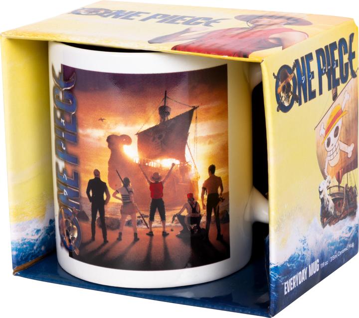 Actual product image Pyramid One Piece (Live Action) (315 ml, 1x)