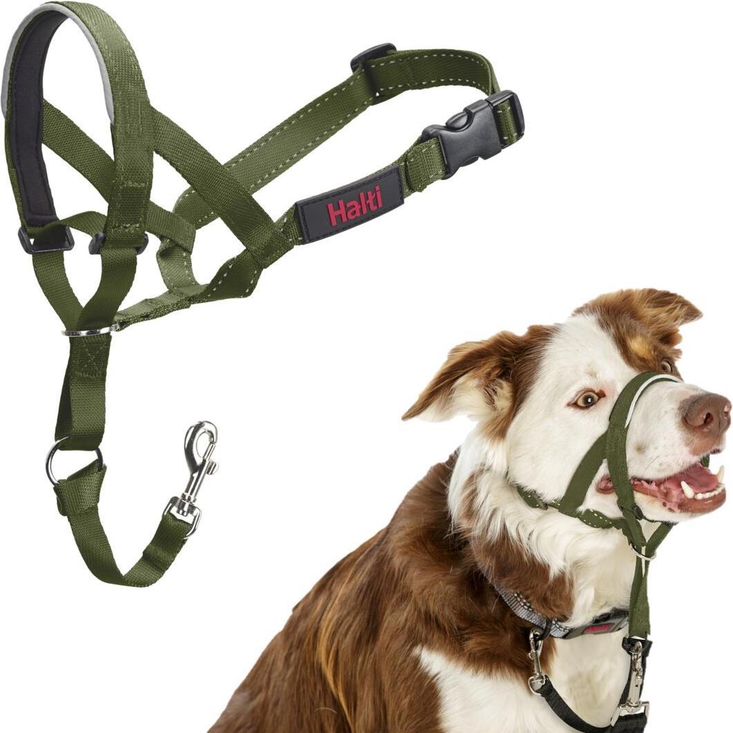 Muselière Company of Animals FOREST Vert 2