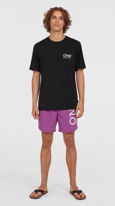 Image du produit O'Neill Original Cali Logo T-Shirt (M)