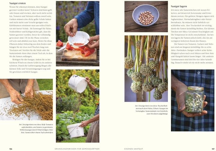 Actual product image No Dig - Gärtnern ohne Umgraben (German, Charles Dowding, 2023)