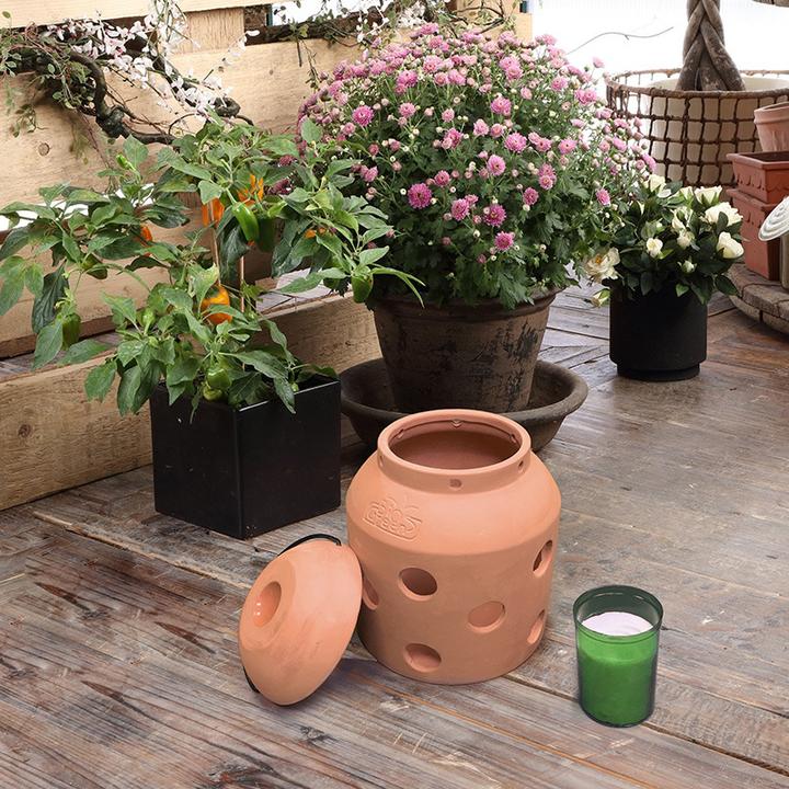 Produktbild Bio Green Firefly