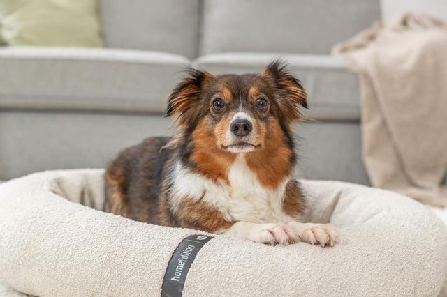 Produktbild Trixie Vital CityStyle bed, oval, 75 × 60 cm, cream (Hund)