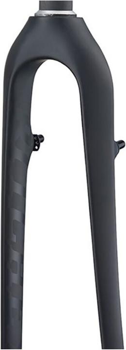 Actual product image Ritchey WCS Carbon Cross Disc