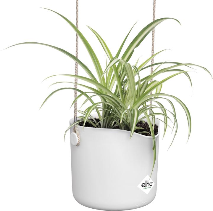 Produktbild Elho B.for Swing (18 x 170 cm)