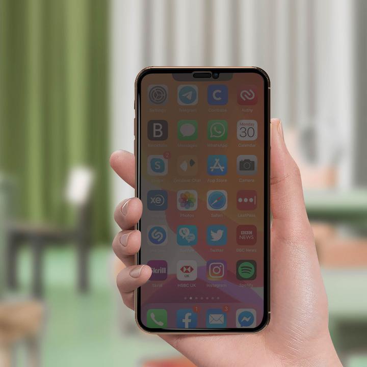 Actual product image Avizar Privacy glass screen protector (1 pcs., Apple iPhone 11 Pro)
