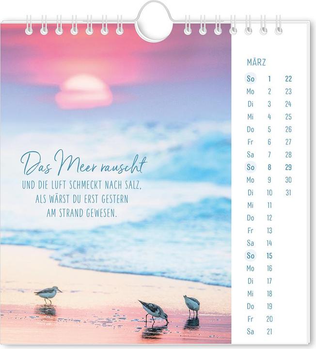 Immagine prodotto Postkartenkalender 2026 Lichtblicke (16 x 17 cm)