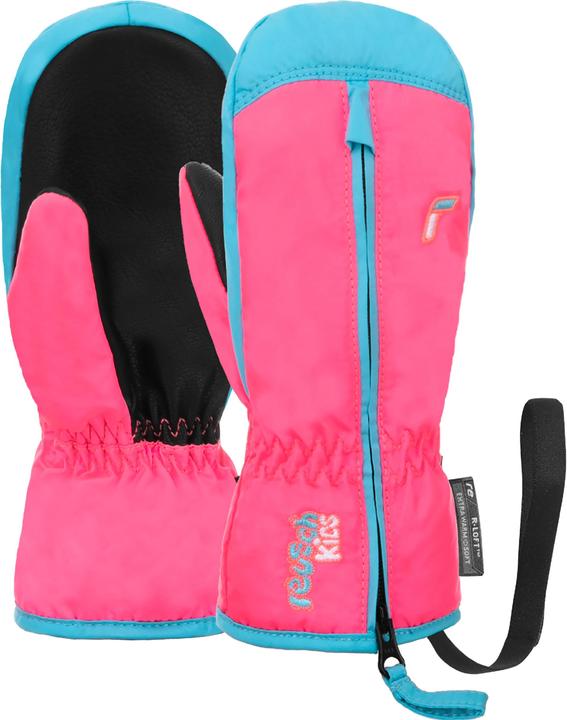 Bachelor Button, Knockout Pink