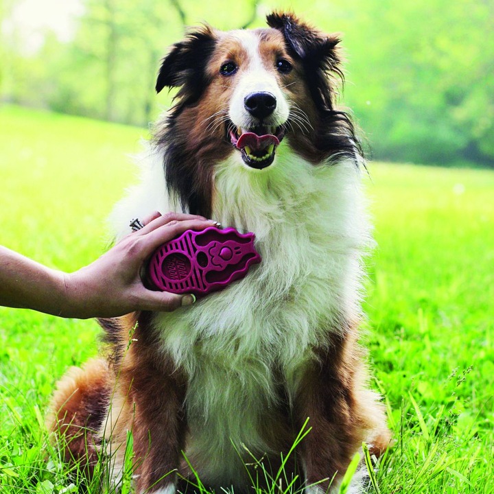 Actual product image KONG zoom groom (Dog)