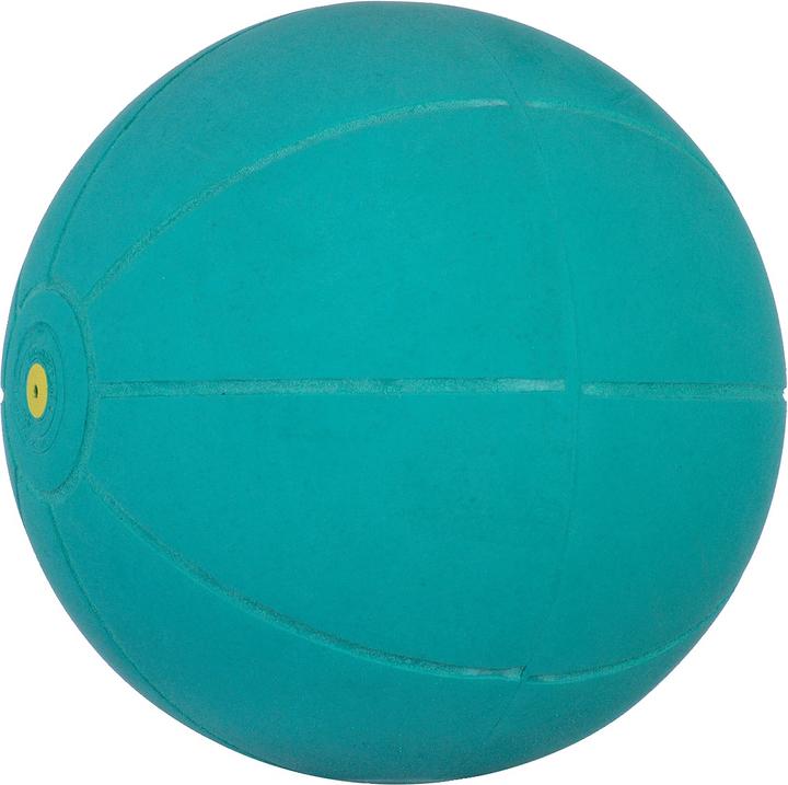 Produktbild WV Ball Medizinball (1 kg, 200 mm)