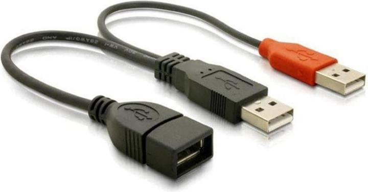 Image du produit Delock Câble en Y 2 x USB 2.0 type-A à 1 x USB 2.0 type-A (0.22 m, USB 2.0)
