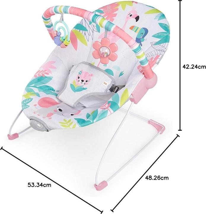 Actual product image Bright Starts Flamingo Vibe