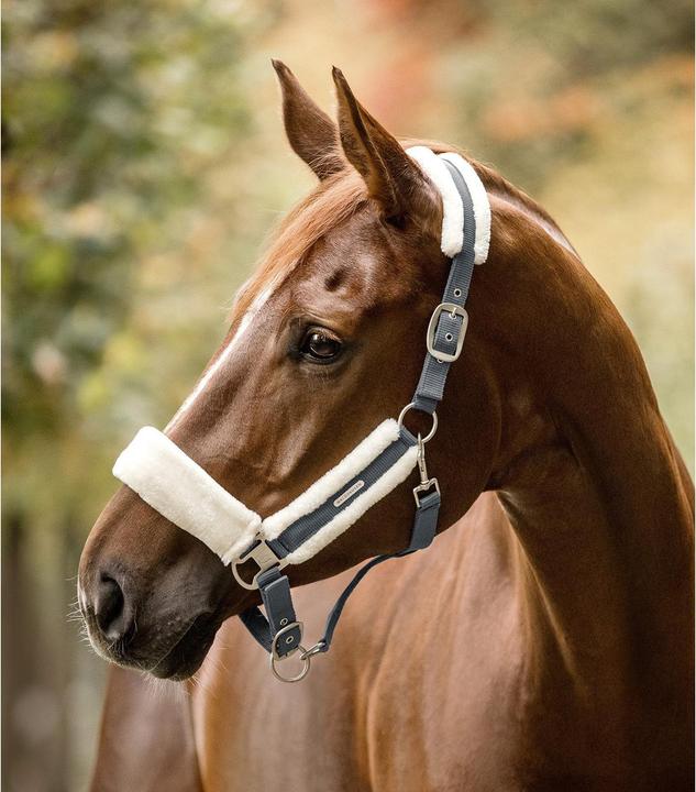 Produktbild Waldhausen Soft