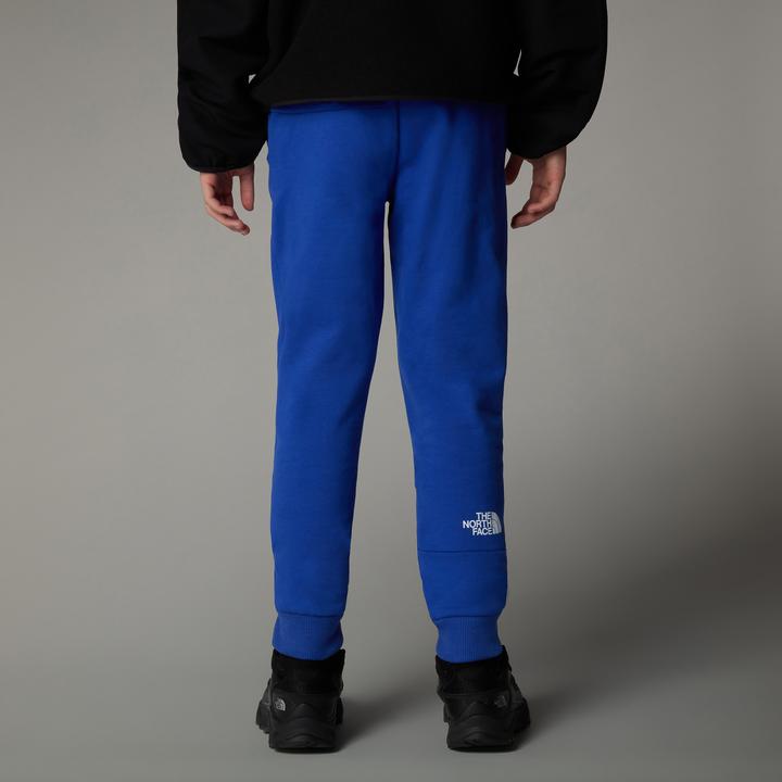 Immagine prodotto North Face Joggers (S)