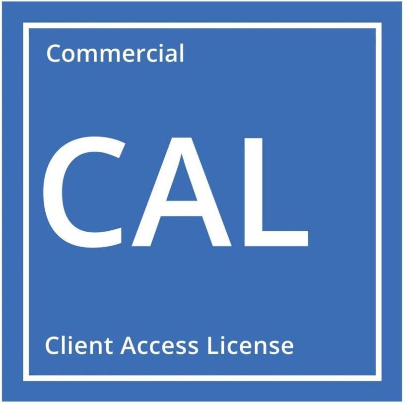 Lenovo Windows Server 2025 CAL (1 User) für Server