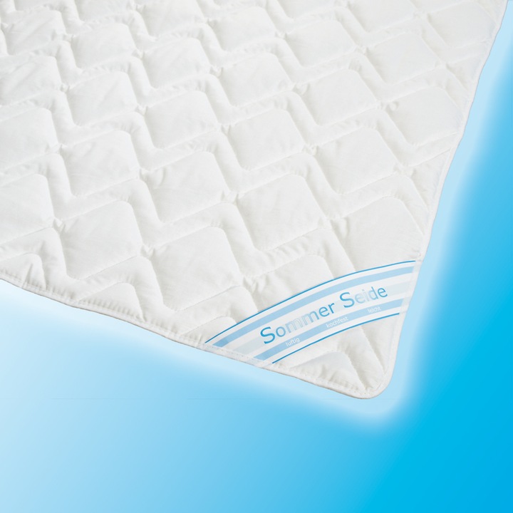 Immagine prodotto Traumschlaf Seta pulita (750 g, 160 x 210 cm)
