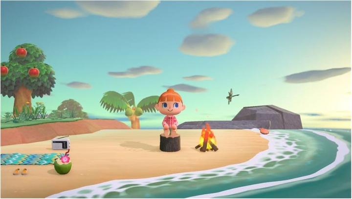 Image du produit Nintendo Switch Animal Crossing : New Horizons (Switch, Switch Lite, Switch OLED, EN)