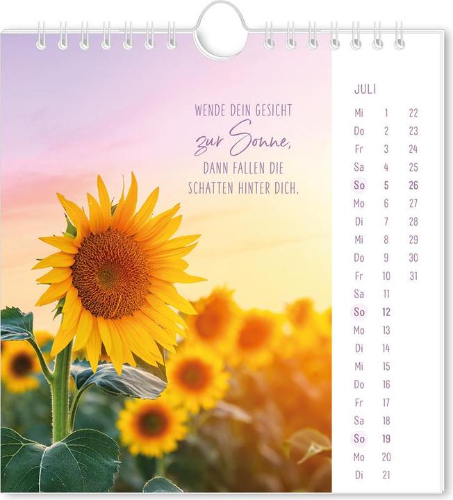 Immagine prodotto Postkartenkalender 2026 Lichtblicke (16 x 17 cm)