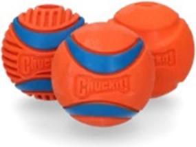 Produktbild Chuckit! Chuckit Fetch-Medley Gen3 (Kauspielzeug Hund)