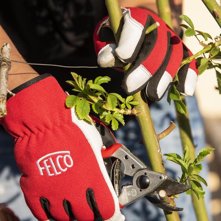 Actual product image Felco 702M Leather work gloves, size M (M)