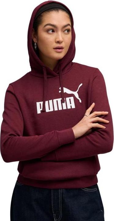 Actual product image Puma ESS No. 1 Logo Hoodie FL (s) (M)