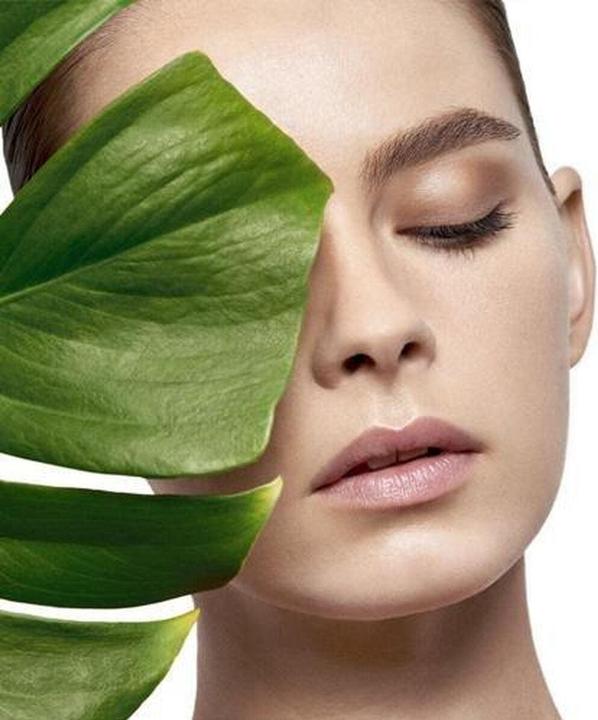 Actual product image Talika Skintelligence Anti-Age Regenerating Day Cream 50ml (50 ml, Day cream)