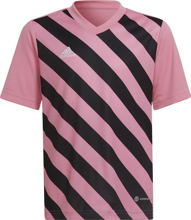 Image du produit adidas Maillot Entrada 22 Graphic (152)