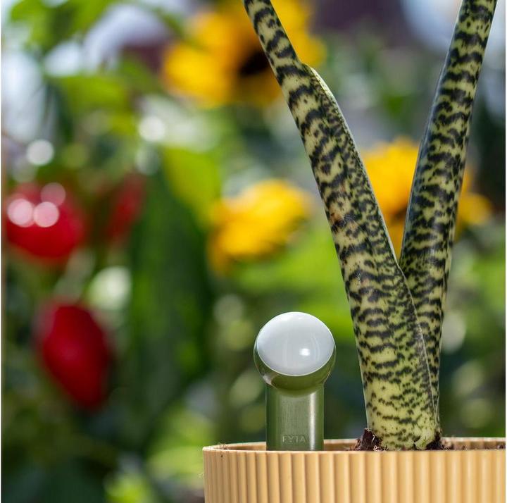 Image du produit FYTA Tropfer-Set Beam Set 3 (Kit d'irrigation goutte à goutte)