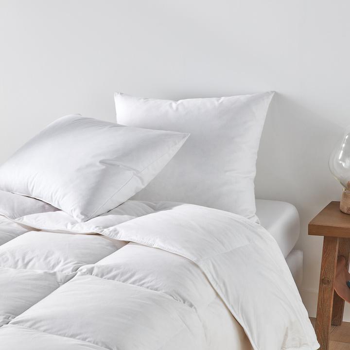 Immagine prodotto La Redoute Interieurs Cuscino rigido con il 15% di piuma d'oca (60 x 70 cm)