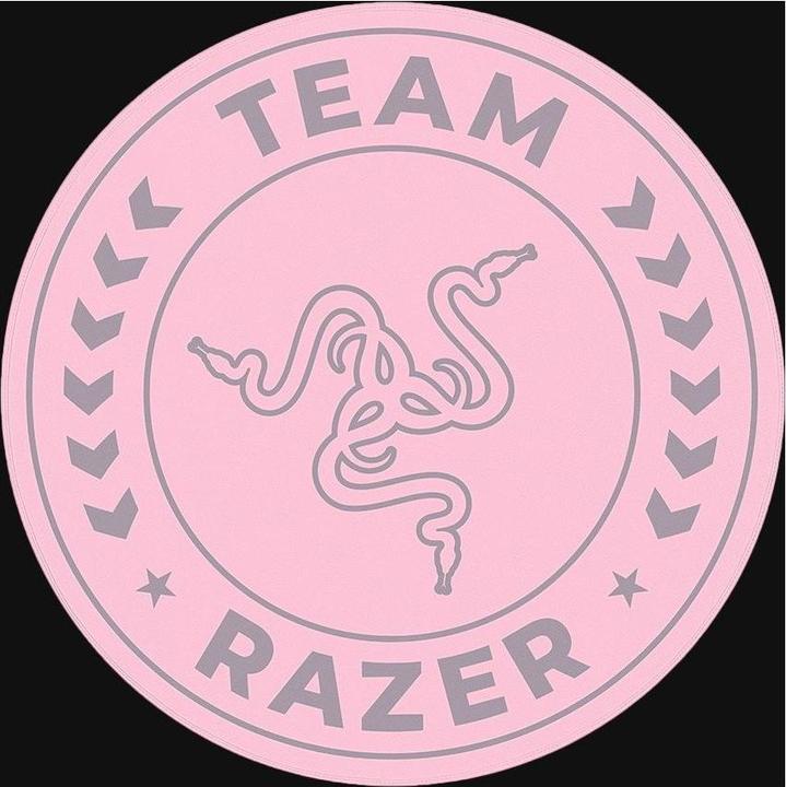 Razer Tapis de sol (120 x 120 cm)