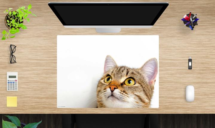 Produktbild CoverYourDesk Schreibtischunterlage Katzenblick