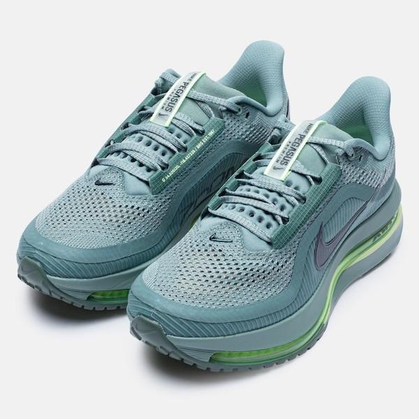 Produktbild Nike Pegasus Premium (43)