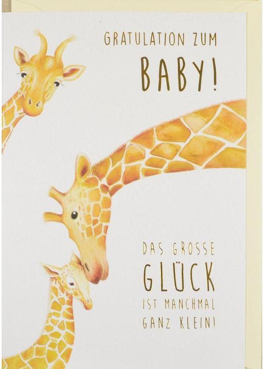 Image du produit ABC Vers le bébé (1 pcs)
