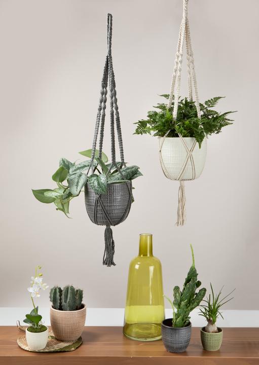 Actual product image Scheurich hanging traffic light 868 (15.60 cm)