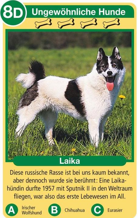 Produktbild Ravensburger Hunde (Deutsch, 3 - 6 Spieler)