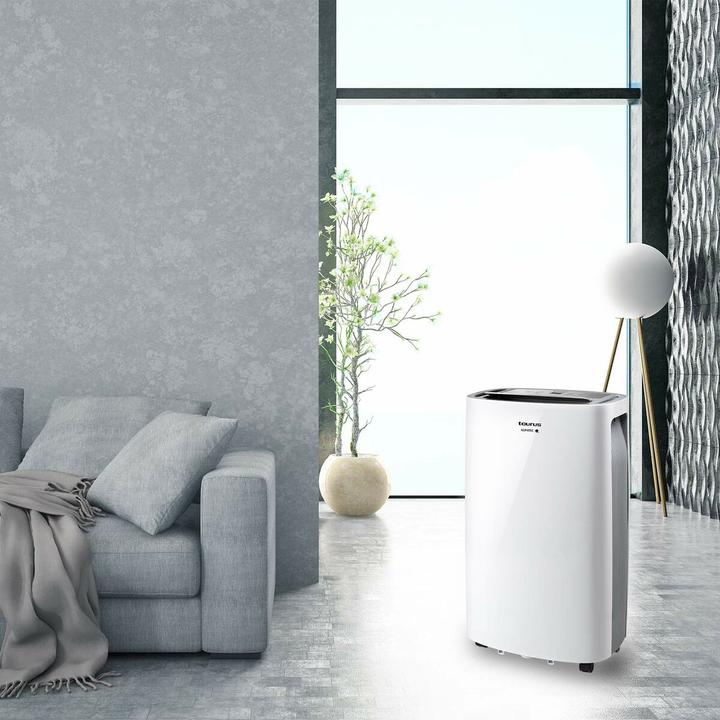 Actual product image Taurus DH2201 (45 m², 21.60 l/24h)