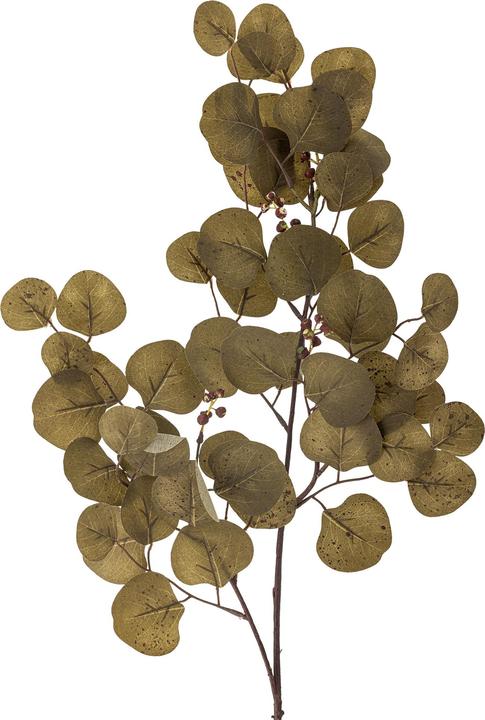Produktbild Bloomingville Eucalyptus (86 cm)