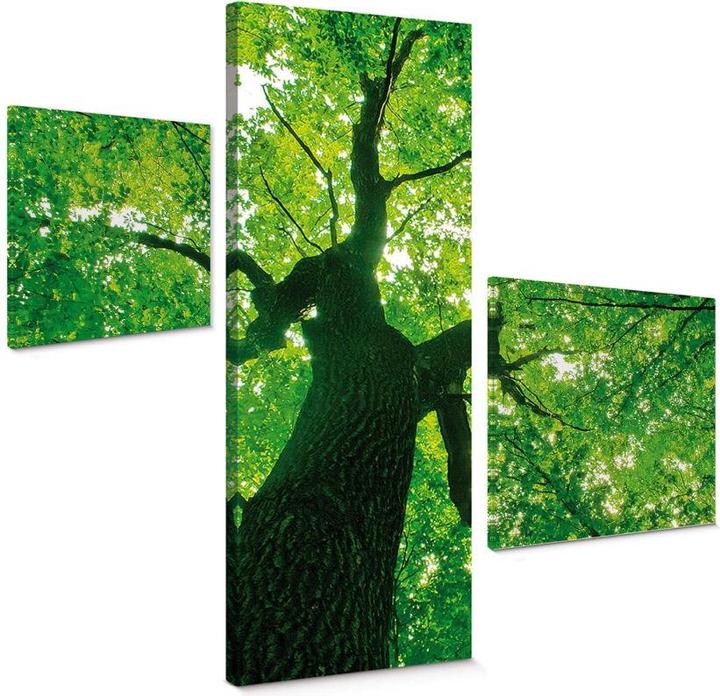 Trenddeko Under the Trees (3-teilig) (50 x 50 cm, 30 x 30 cm, 40 x 100 cm)