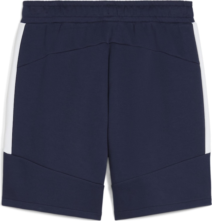 Actual product image Puma teamEVOSTRIPE Shorts (XXL)