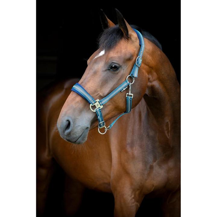 Image du produit Horse Guard Cole